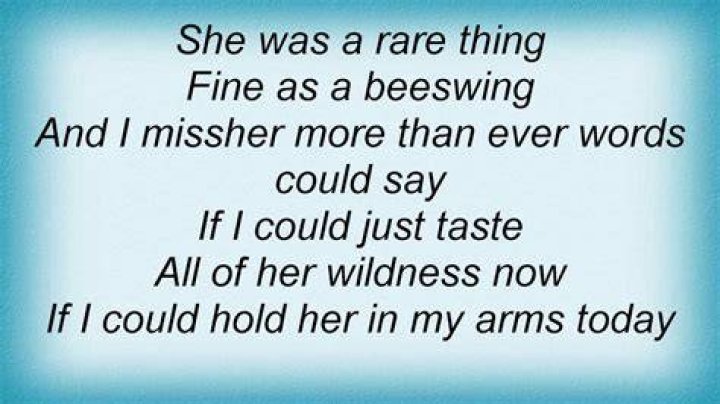 Beeswing lyrics