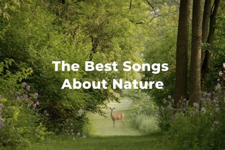 Best Songs About Nature