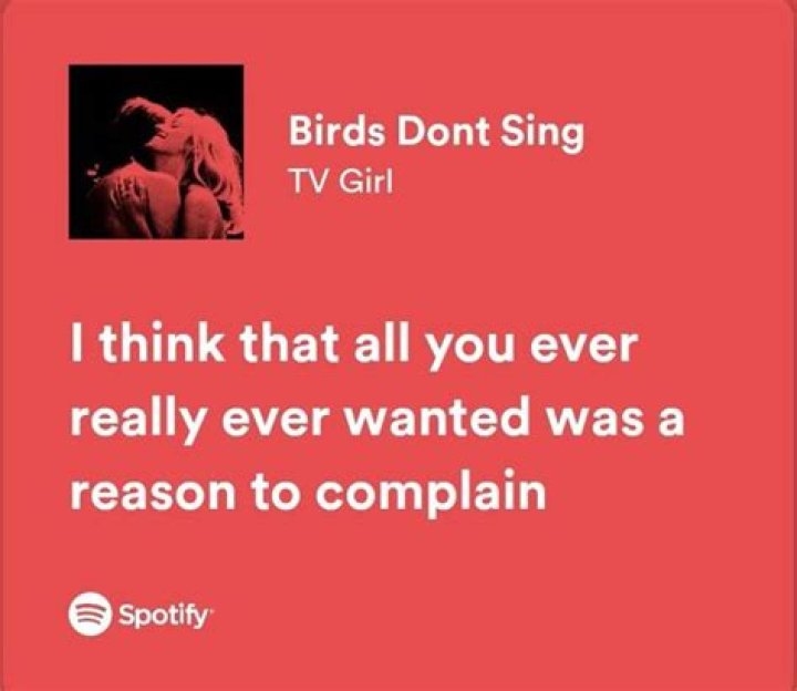 Birds dont sing lyrics