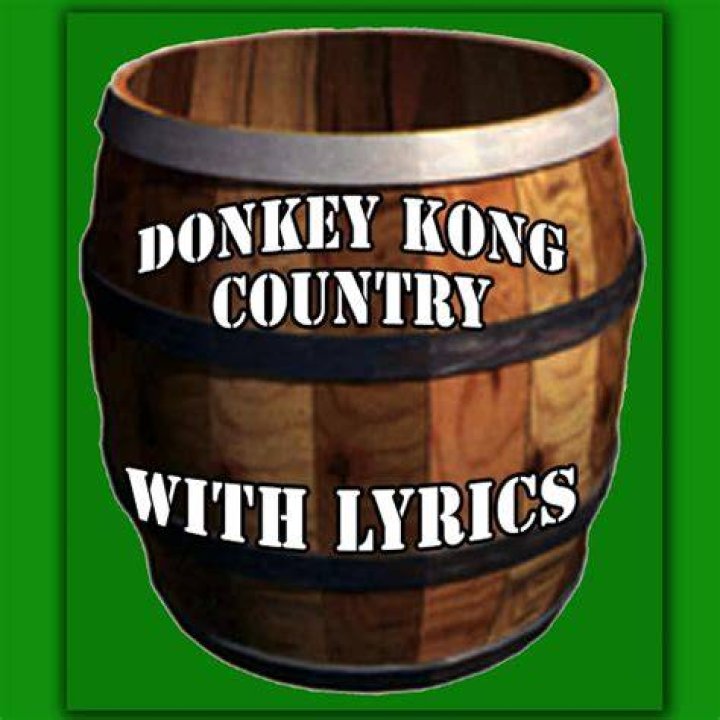Donkey kong lyrics