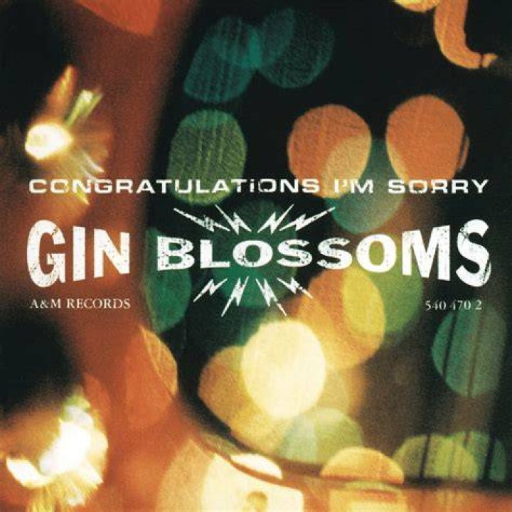 Gin blossom lyrics