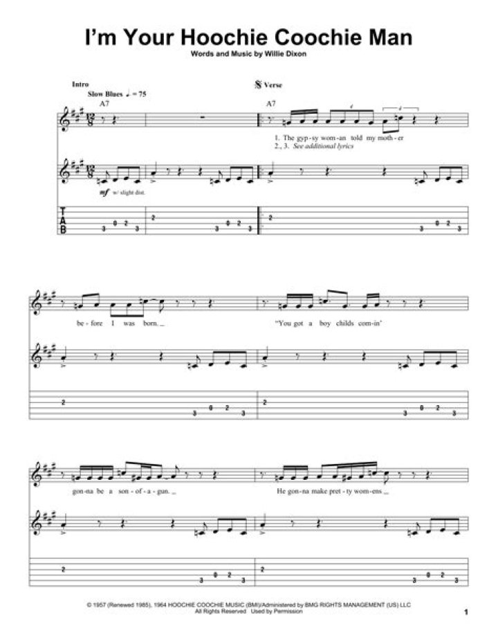 Guitar intro hoochie coochie man ... lyrics