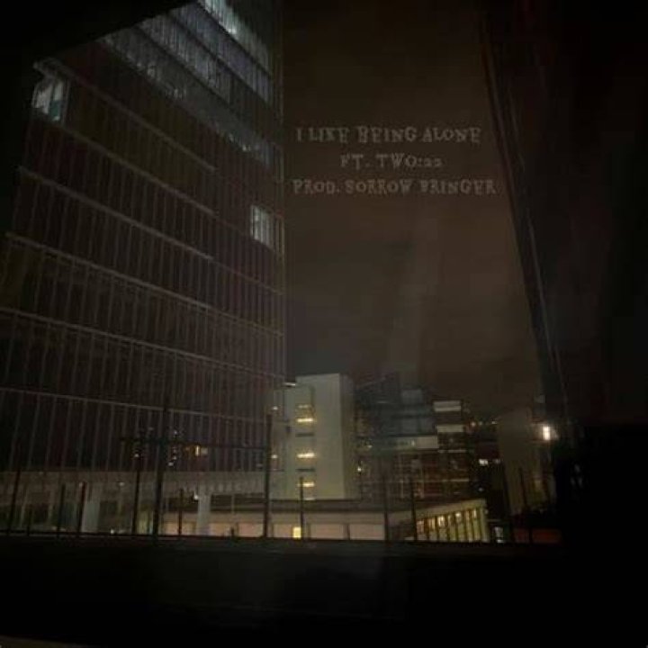 I like being alone lyrics