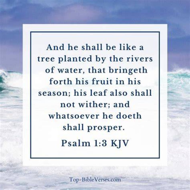 Like a tree planted by the waters lyrics