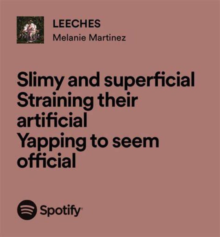 Melanie martinez leeches lyrics