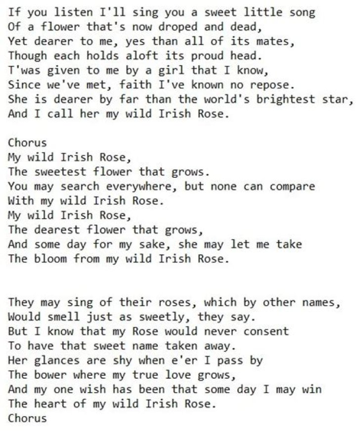 My irish rose lyrics