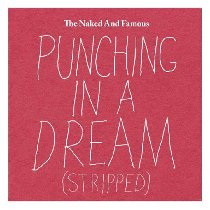 Punching in a dream lyrics
