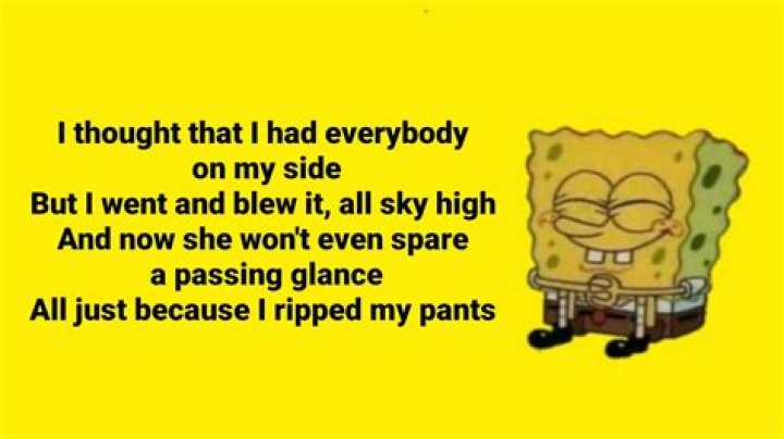 Ripped my pants lyrics