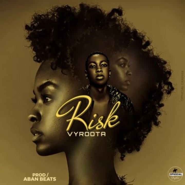 Risk by vyroota lyrics