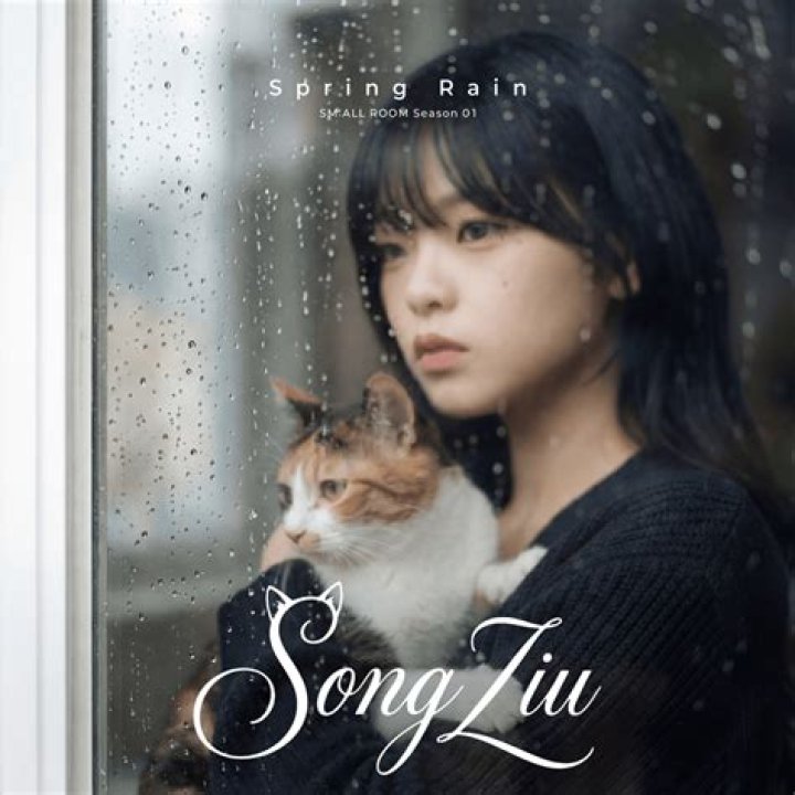 Spring rain lyrics