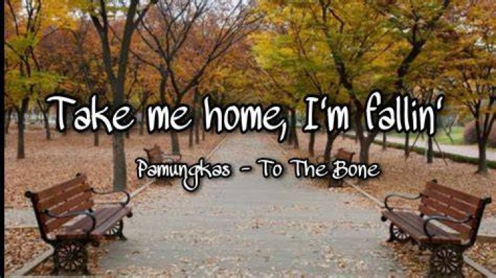 Take me home, im fallin lyrics