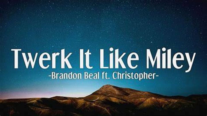Twerk it like miley (and christopher) ... lyrics