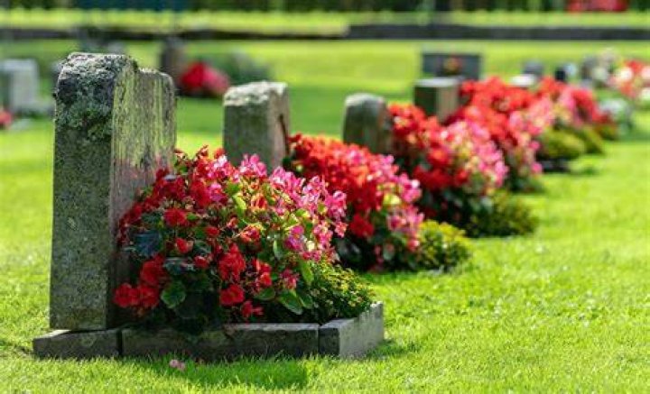 [Update] Dr Timothy Fletchall Obituary And Death Cause