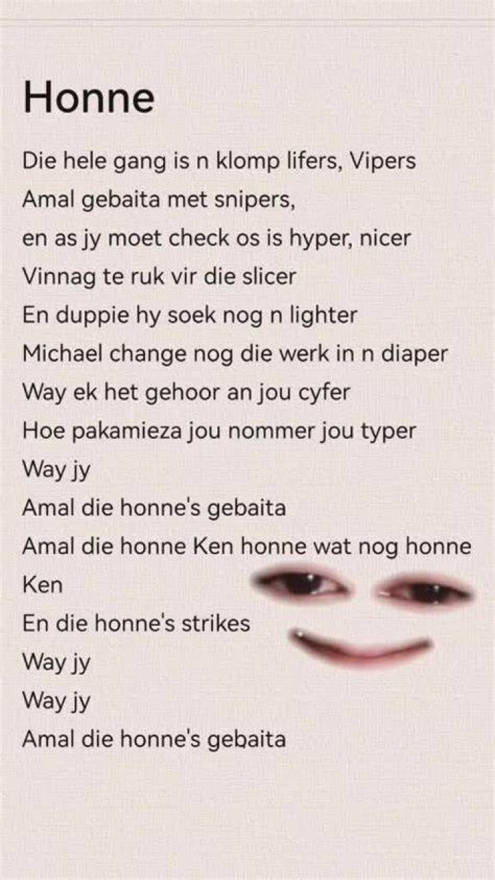 Ziggy x honne lyrics